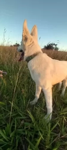 Olhares