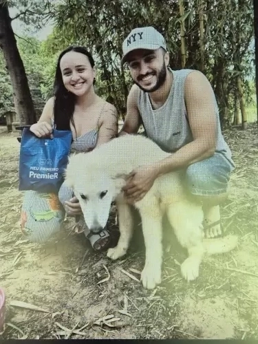  Porto Alegre - RS